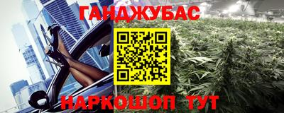 шишки Лесосибирск