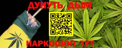 шишки Лесосибирск