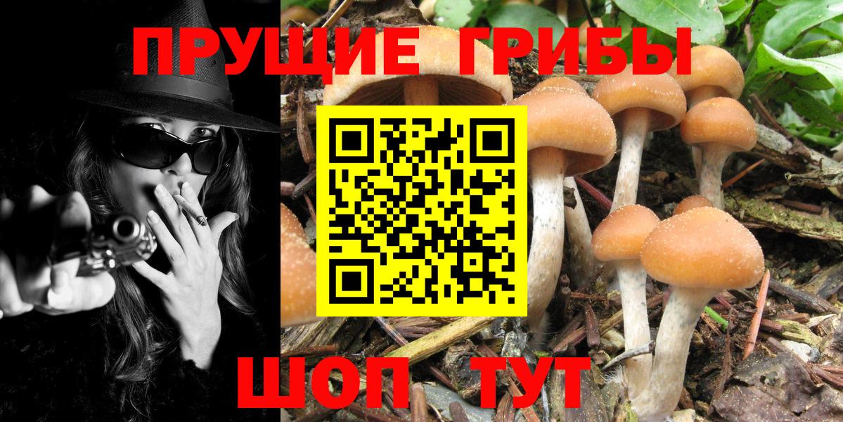 Галлюциногенные грибы ЛСД Ялуторовск
