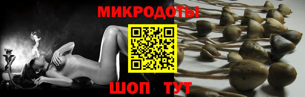 Галлюциногенные грибы GOLDEN TEACHER  Вход с VPN  наркотики  Ялуторовск  Псилоцибиновые грибы Psilocybe 
